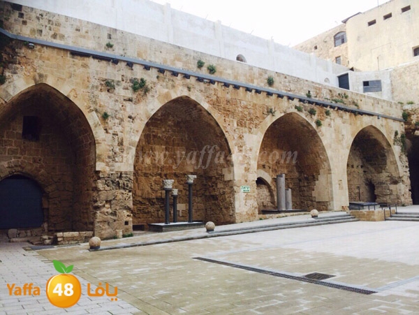 re7la shamela j3 (13).JPG